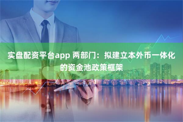 实盘配资平台app 两部门：拟建立本外币一体化的资金池政策框架