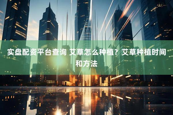 实盘配资平台查询 艾草怎么种植？艾草种植时间和方法
